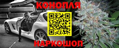 шишки Донской
