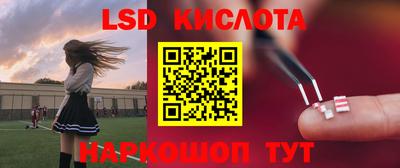 шишки Донской