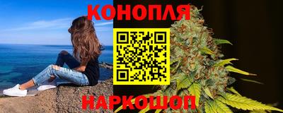 шишки Донской
