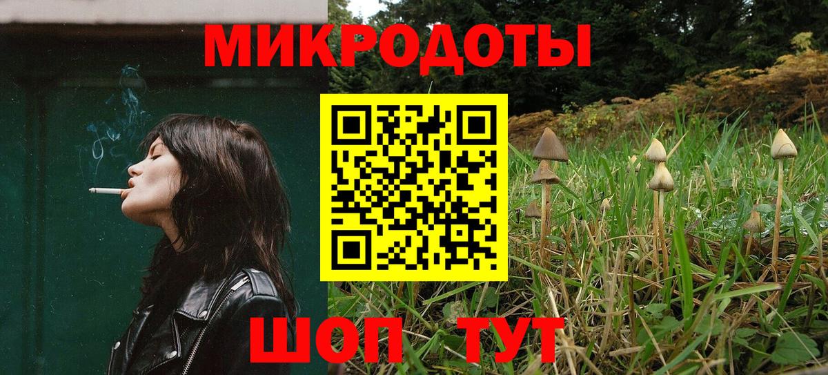 Псилоцибиновые грибы мицелий Нижнеудинск