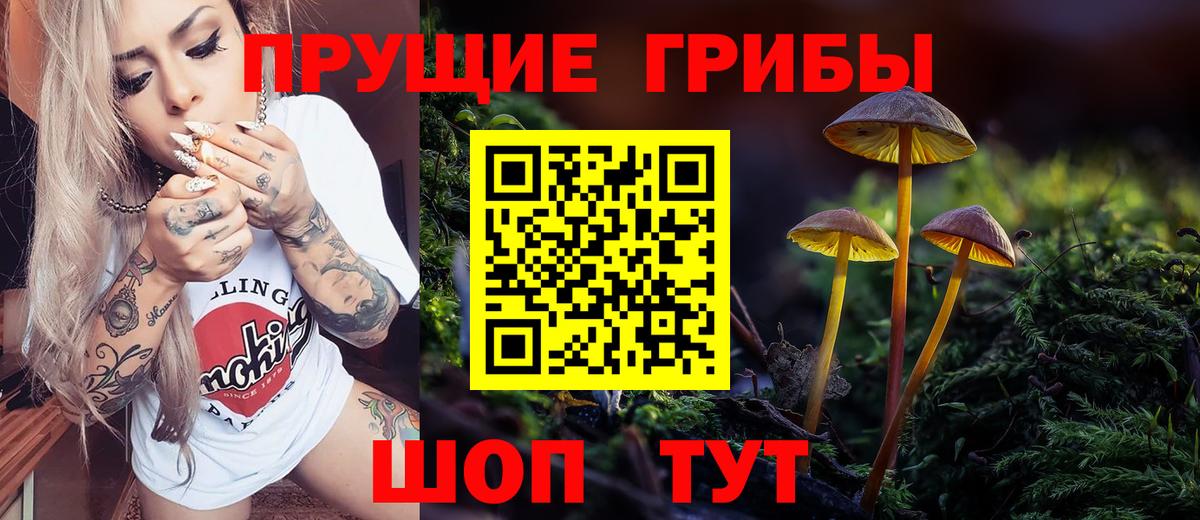 Галлюциногенные грибы мухоморы  Псилоцибиновые грибы Magic Shrooms  Нижнеудинск  Вход с VPN 